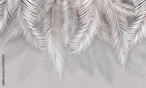 Fototapeta liście  klasyczne-egzotyczne-liscie-palmowca