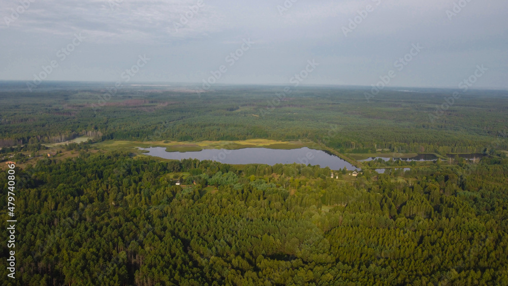 Aerial view of a lake and green forest. There are houses near the lake shore. Ukraine