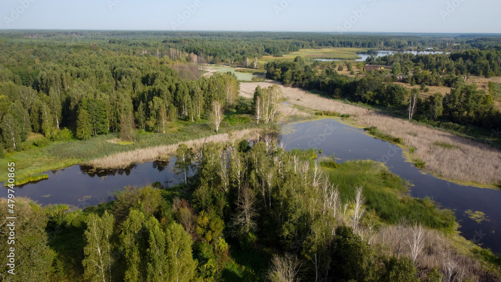 Aerial view of a lakes and forest with green trees. Landscape scene. Ukraine Aerial view of a lakes and forest with green trees. Landscape scene. Ukraine