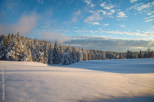 The Bloke Plateau (Bloška planota, Bloke) is an extensive bowl-like plateau in southwest Slovenia in winter © Simon Kovacic
