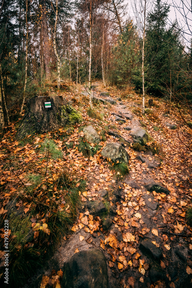 tourist rocky path with touristic sign in forest at autumn tourist rocky path with touristic sign in forest at autumn