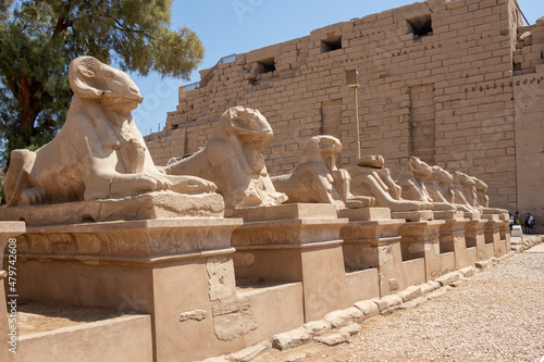 A pile of effigies of rams arranged in a row, Karnak temple, Luxor, Egypt.