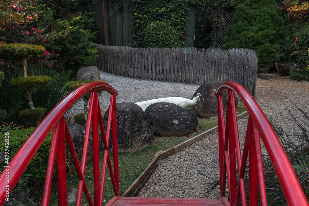 Jardim em Santo Antônio do Pinhal, São Paulo