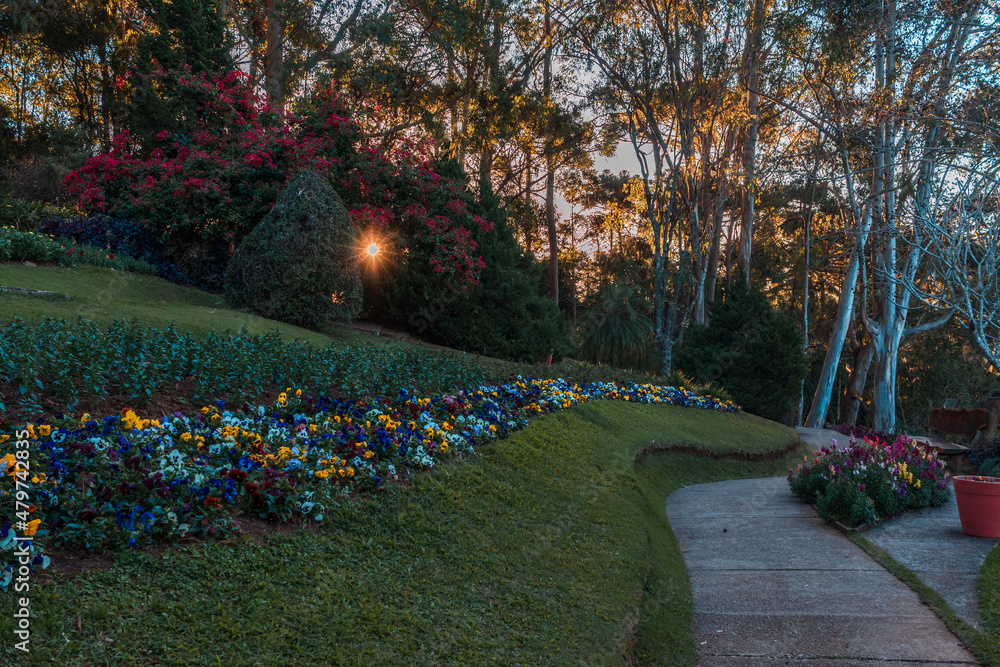Jardim em Santo Antônio do Pinhal, São Paulo