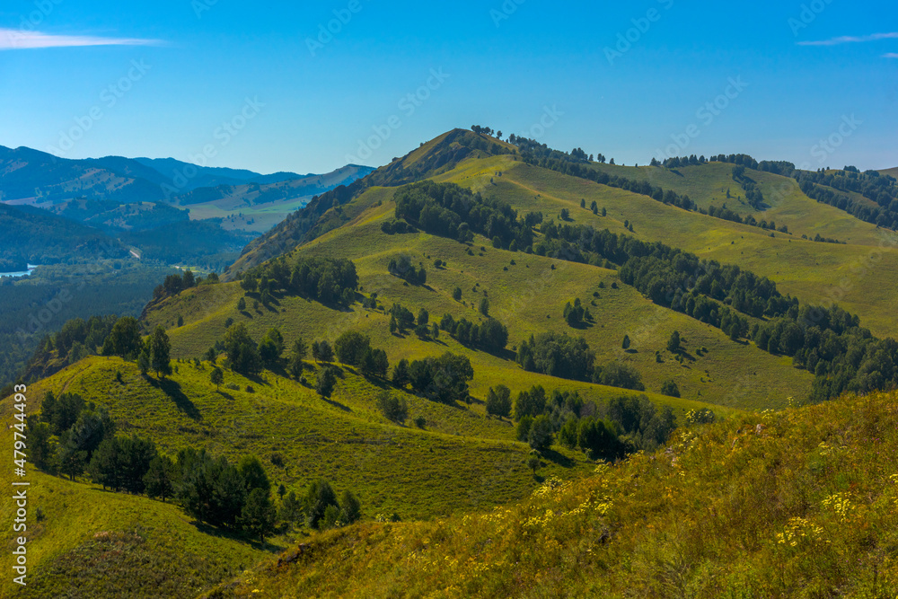 Summer landscape with hills and mountains of the Altai.