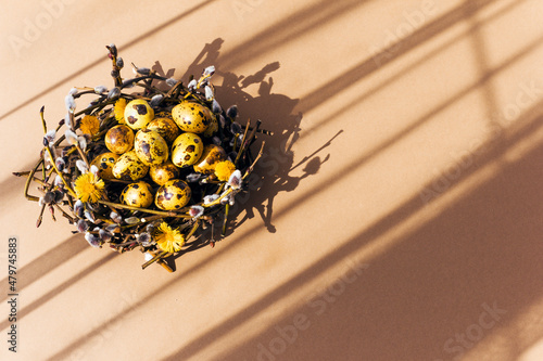 Yellow Easter spring eggs in a nest of branches on a light brown background, sunny shadows, сopi space, soft focus