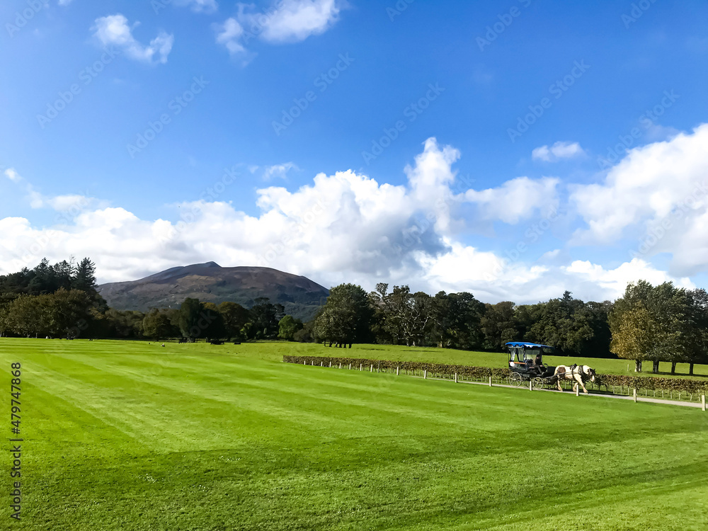 green grass landscape in the first national park in Ireland - Killarney National Park , near the town of Killarney, County Kerry green grass landscape in the first national park in Ireland - Killarney National Park , near the town of Killarney, County Kerry