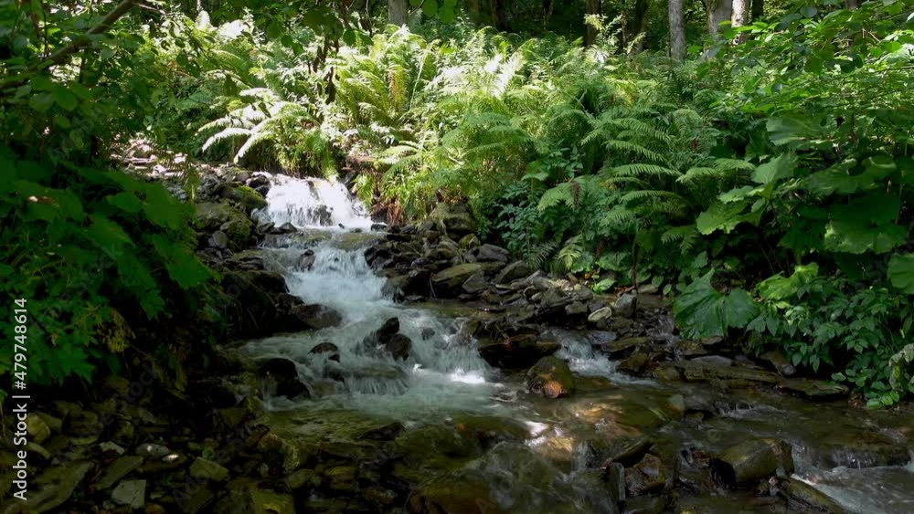 Small waterfalls going over rocks in Caucasian State Natural Biosphere Reserve, a clear-water mountain stream in the Lago-Naki plateau, Russia. Small waterfalls going over rocks in Caucasian State Natural Biosphere Reserve, a clear-water mountain stream in the Lago-Naki plateau, Russia.