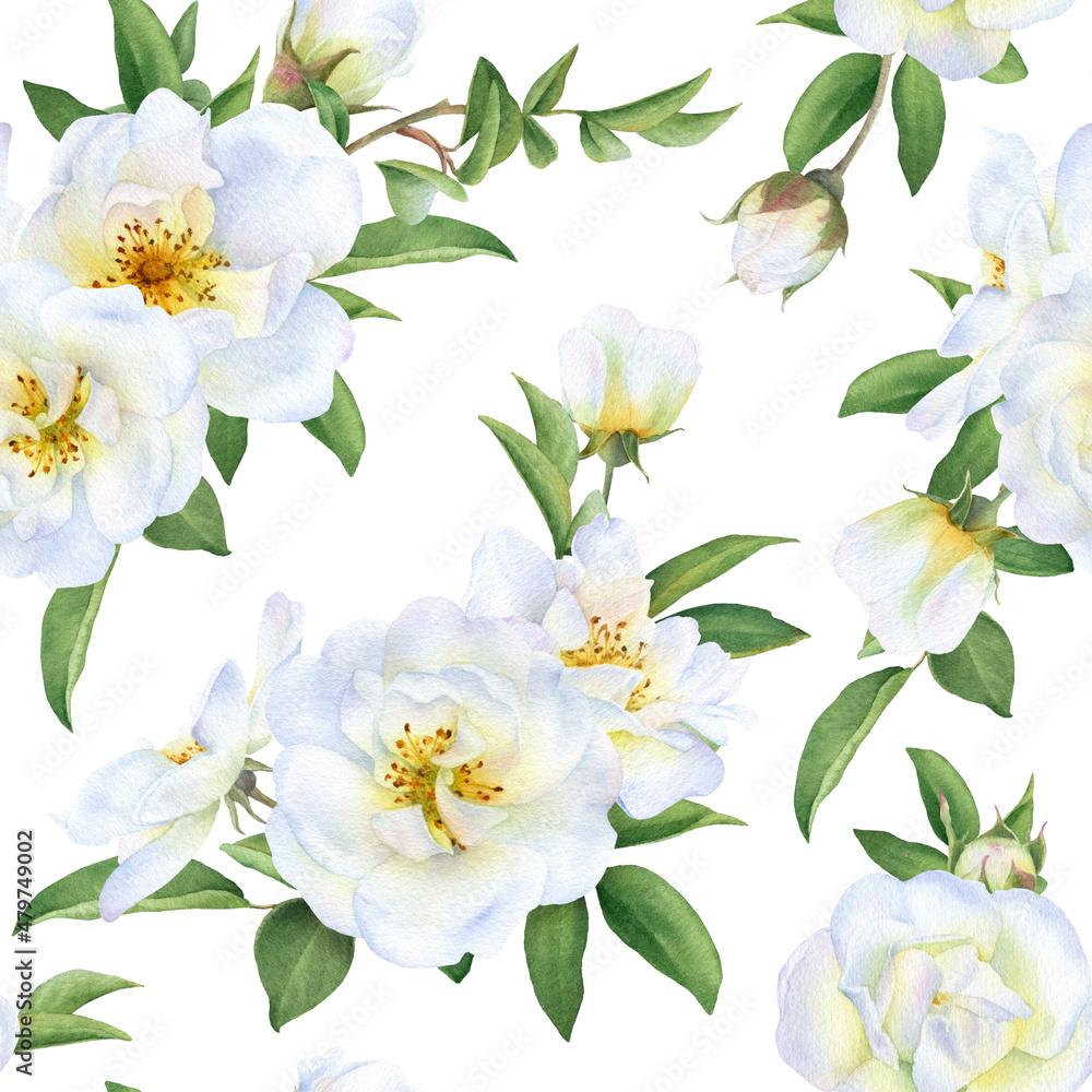 Obraz premium Seamless floral pattern with bouquets of the wild white roses, buds and green leaves hand drawn in watercolor isolated on a white background. Watercolor floral pattern. 