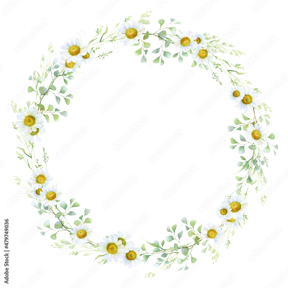 Floral wreath with chamomile, green leaves and herbs hand drawn in watercolor isolated on a white background. Watercolor floral frame. Watercolor illustration.	