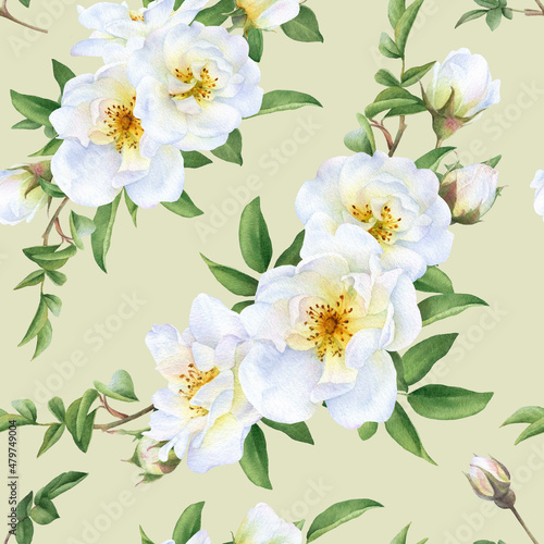 Seamless floral pattern with bouquets of the wild white roses, buds and green leaves hand drawn in watercolor isolated on a light green background. Watercolor floral pattern. 