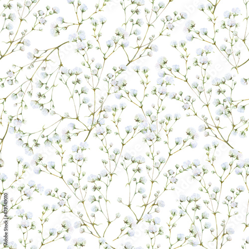 Seamless floral pattern of the gypsophila branches with white flowers hand drawn in watercolor isolated on a white background. Watercolor floral pattern.	
 photo