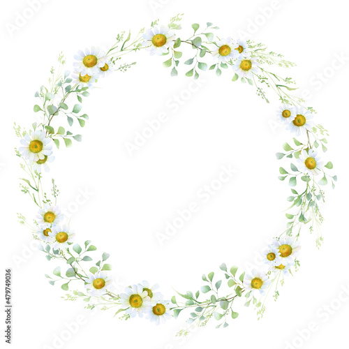 Floral wreath with chamomile, green leaves and herbs hand drawn in watercolor isolated on a white background. Watercolor floral frame. Watercolor illustration.	