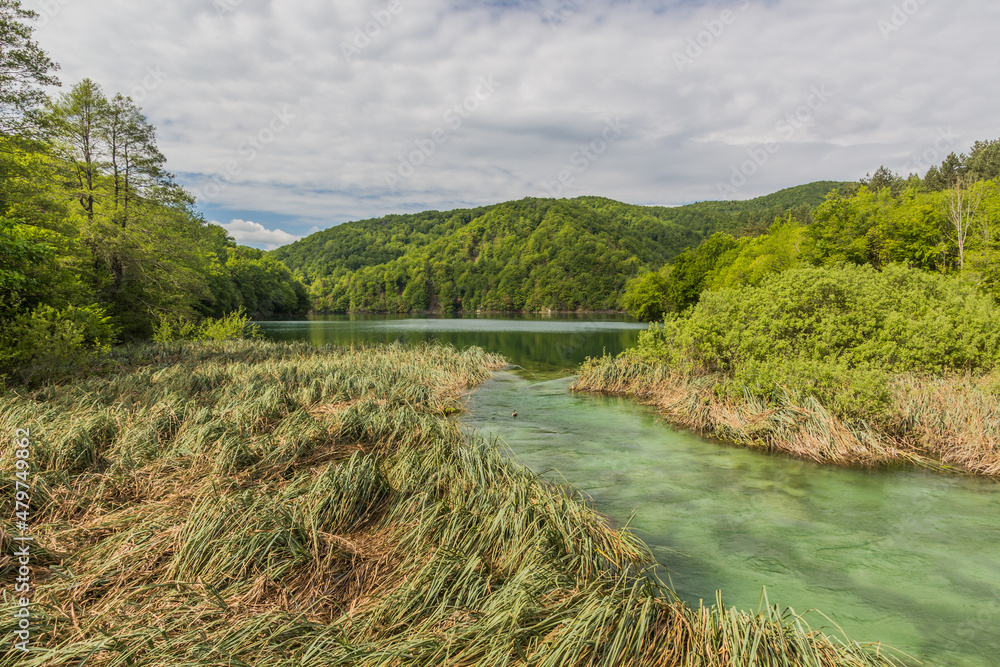 Fototapeta premium Kozjak lake in Plitvice Lakes National Park, Croatia