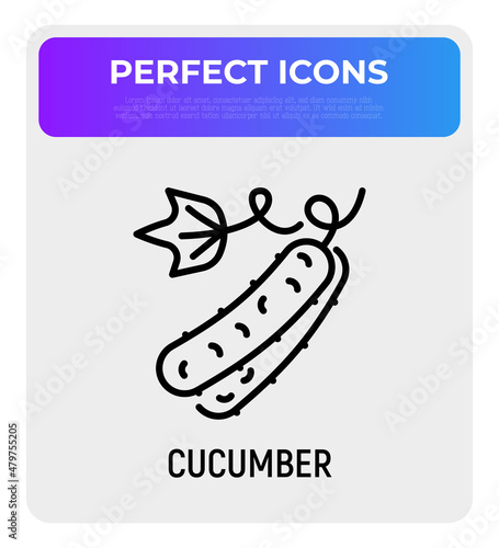 Cucumber thin line icon. Healthy vegan food. Ingredient for salad. Vector illustration.