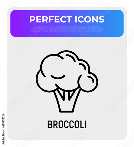 Broccoli thin line icon. Healthy vegan food. Ingredient for salad. Vector illustration.