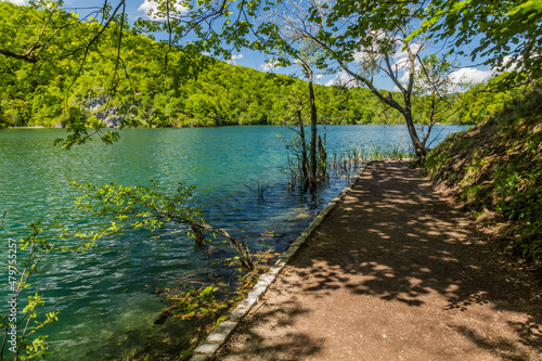 Path in Plitvice Lakes National Park  Croatia