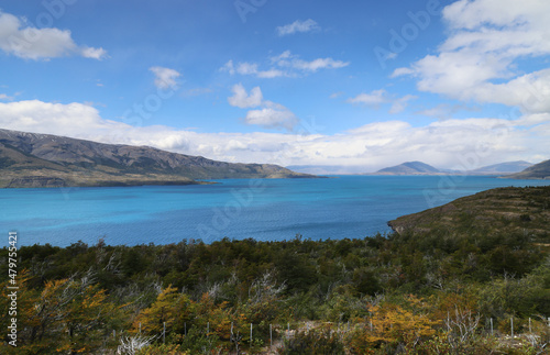 Patagonian landscape with Lake Toro in the background, Chile