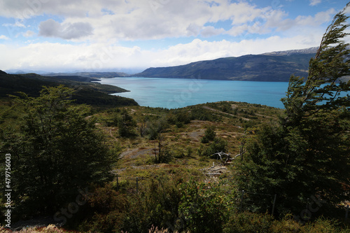 Patagonian landscape with Lake Toro in the background  Chile