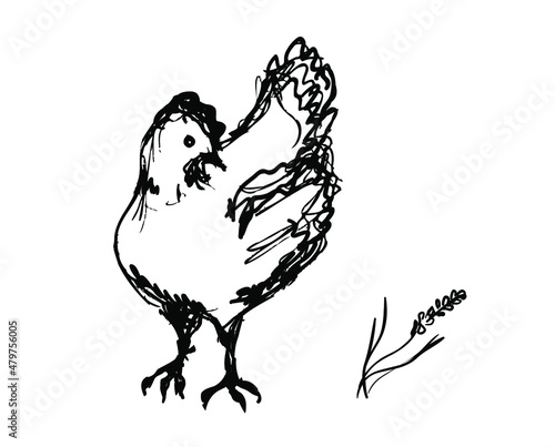 Vector rough ink sketch of the chicken