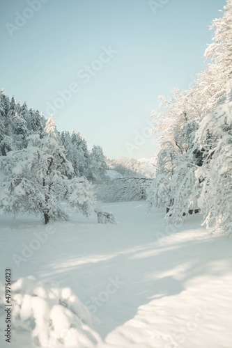 Schneebedeckte Winterlandschaft