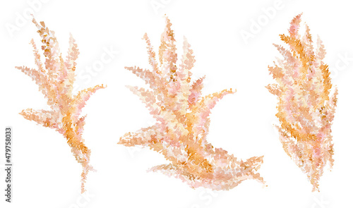 Pampas grass floral bouquet watercolor illustration for wedding card. Hand drawn boho wildflowers. Spring elegant garden florals in peach color