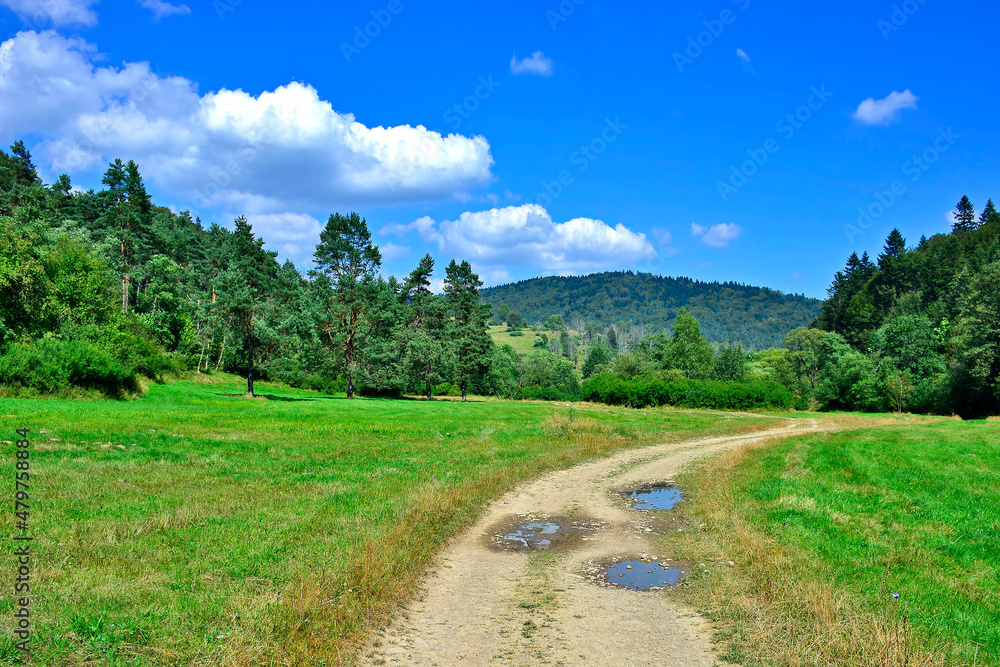 Rural road through fields with green herbs and blue sky with clouds Rural road through fields with green herbs and blue sky with clouds