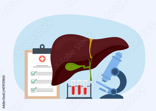Liver organ treatment and diagnostic. Medical treatment and recovery. Vector illustration.