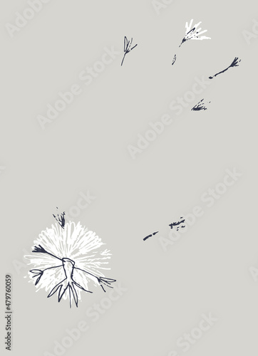 Pre made template with Dandelion flower. Summer concept. Decorative greeting card, invitation, poster, design background, birthday party.