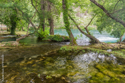 Krka river in Krka national park  Croatia