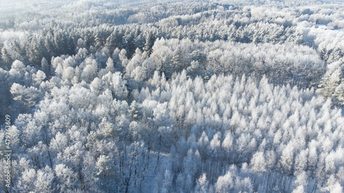 Aerial drone view for winter forest.