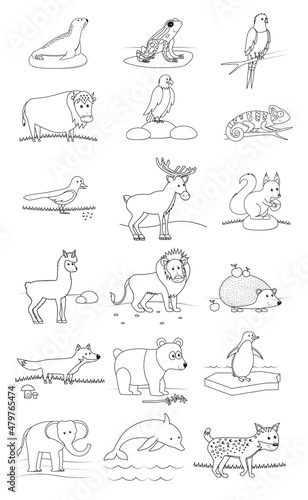 Set of animals . Black and white vector illustration for coloring book for the little ones.