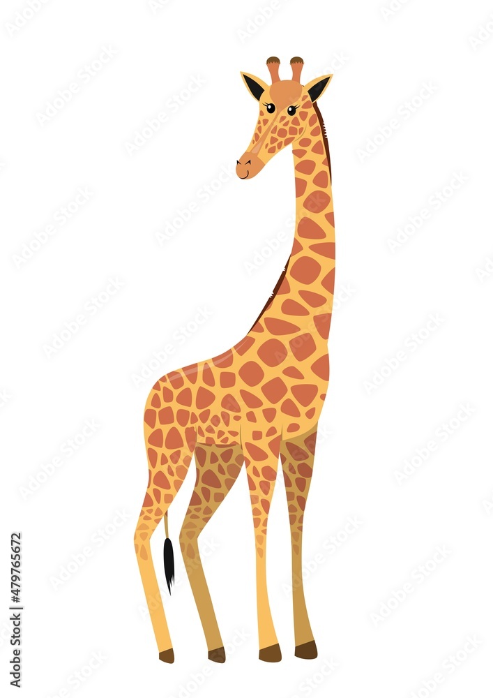 flat cute cartoon standing giraffe from side, vector isolated on white background, illustration for children flat cute cartoon standing giraffe from side, vector isolated on white background, illustration for children