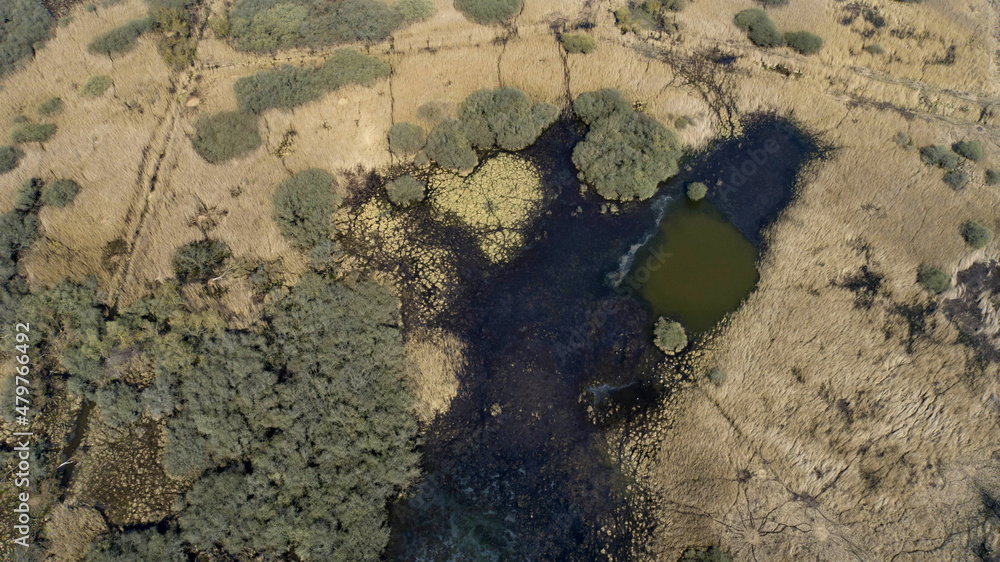 The oxbow lakes of the Odra River near the Kamieniec in Poland