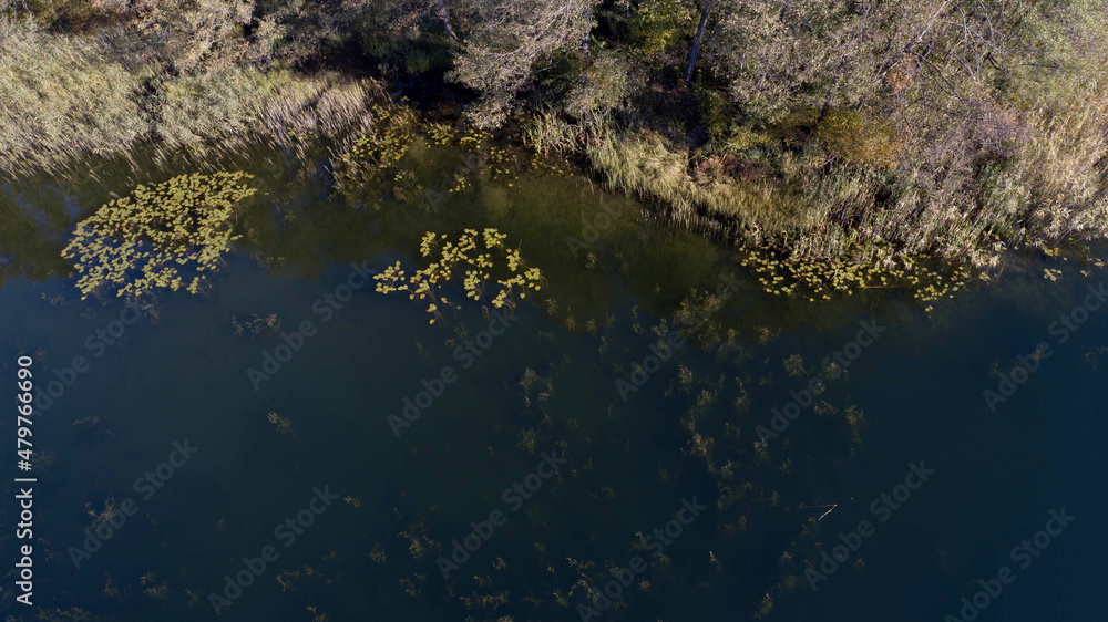 The Lake Szelment in the Suwalki Region in autumn colors