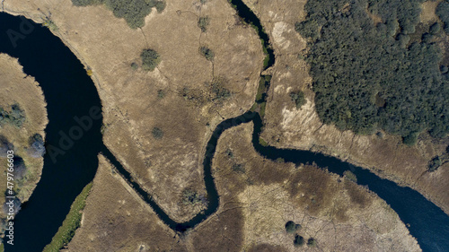 Obraz na płótnie The oxbow lakes of the Odra River near the Kamieniec in Poland w salonie