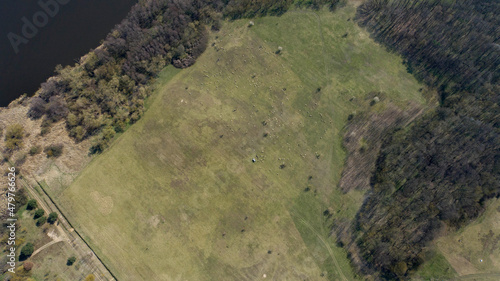 Grazing xerothermic grasslands on the Oder river photo