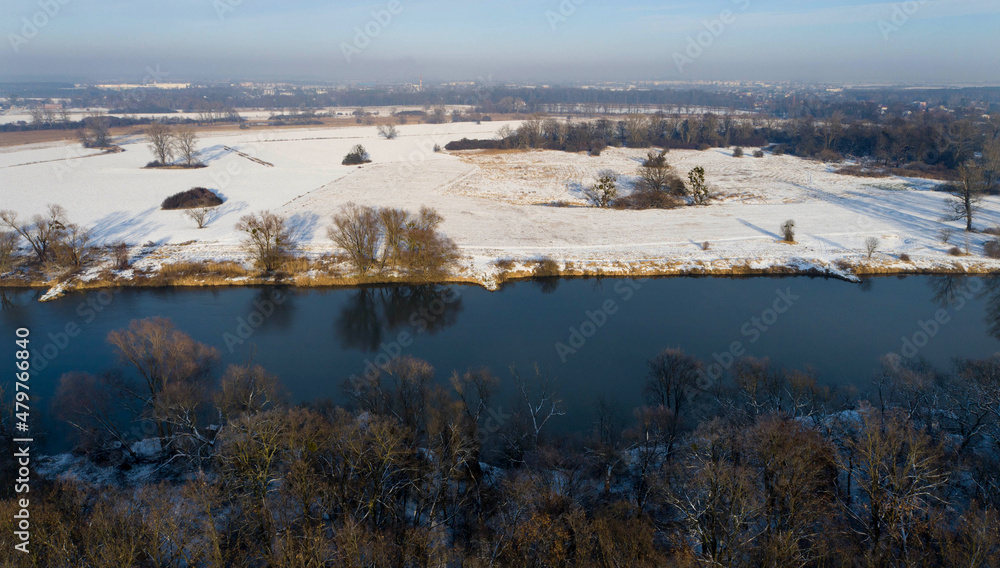 Riparian forest on the banks of the Odra River near Wroclaw, Poland
