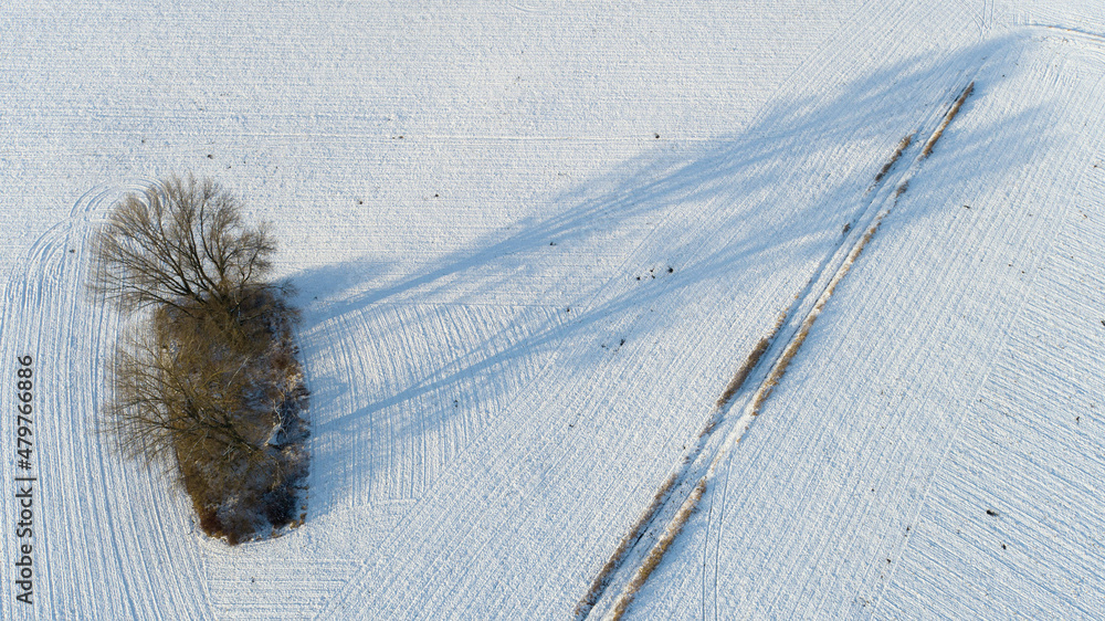 Trees and oxbow on the banks of the Odra River near Wroclaw, Poland