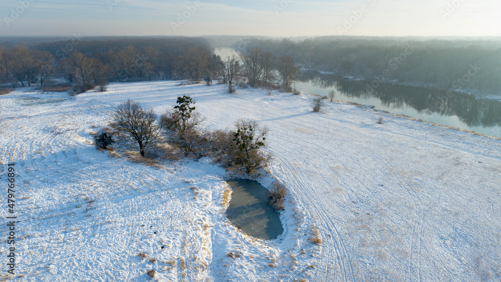 Trees and oxbow on the banks of the Odra River near Wroclaw, Poland
