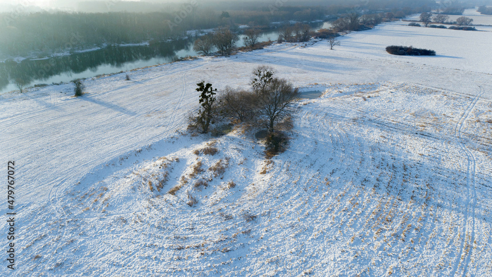 Trees and oxbow on the banks of the Odra River near Wroclaw, Poland