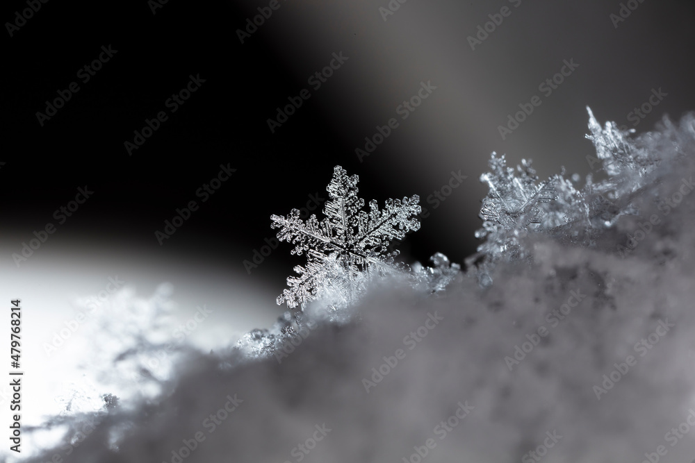 Beautiful ice crystal lies in the snow, Christmas And Winter Background
Beautiful ice crystal lies in the snow, Christmas And Winter Background