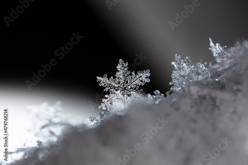 Beautiful ice crystal lies in the snow, Christmas And Winter Background 
