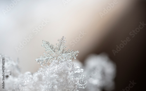 Beautiful ice crystal lies in the snow, Christmas And Winter Background  © vadim_fl