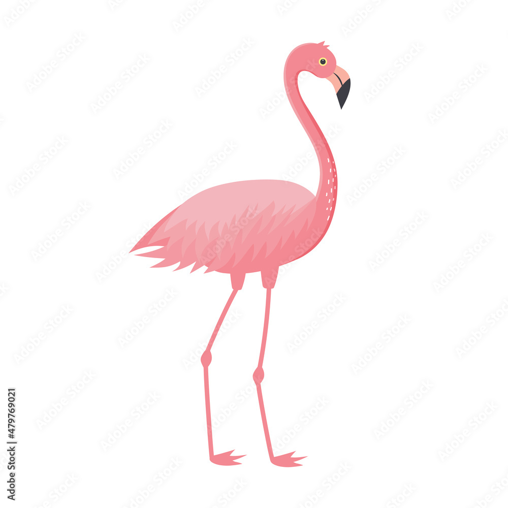 Fototapeta premium Pink flamingo isolated on white background. Exotic tropical bird character. Vector illustration.