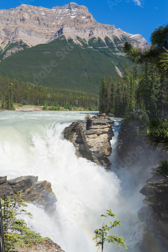 An overview of the Althabasca Falls photo