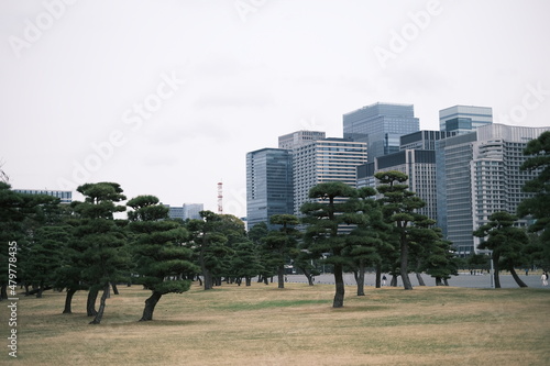 東京の風景 © Matty Tokyo