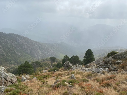 fog in the mountains