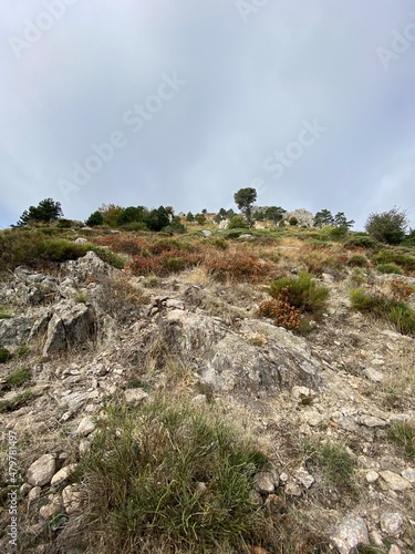 landscape with sky