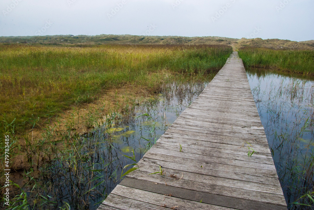 Fototapeta premium wooden bridge over swamp